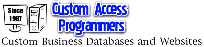 MS Access developers, access programmer